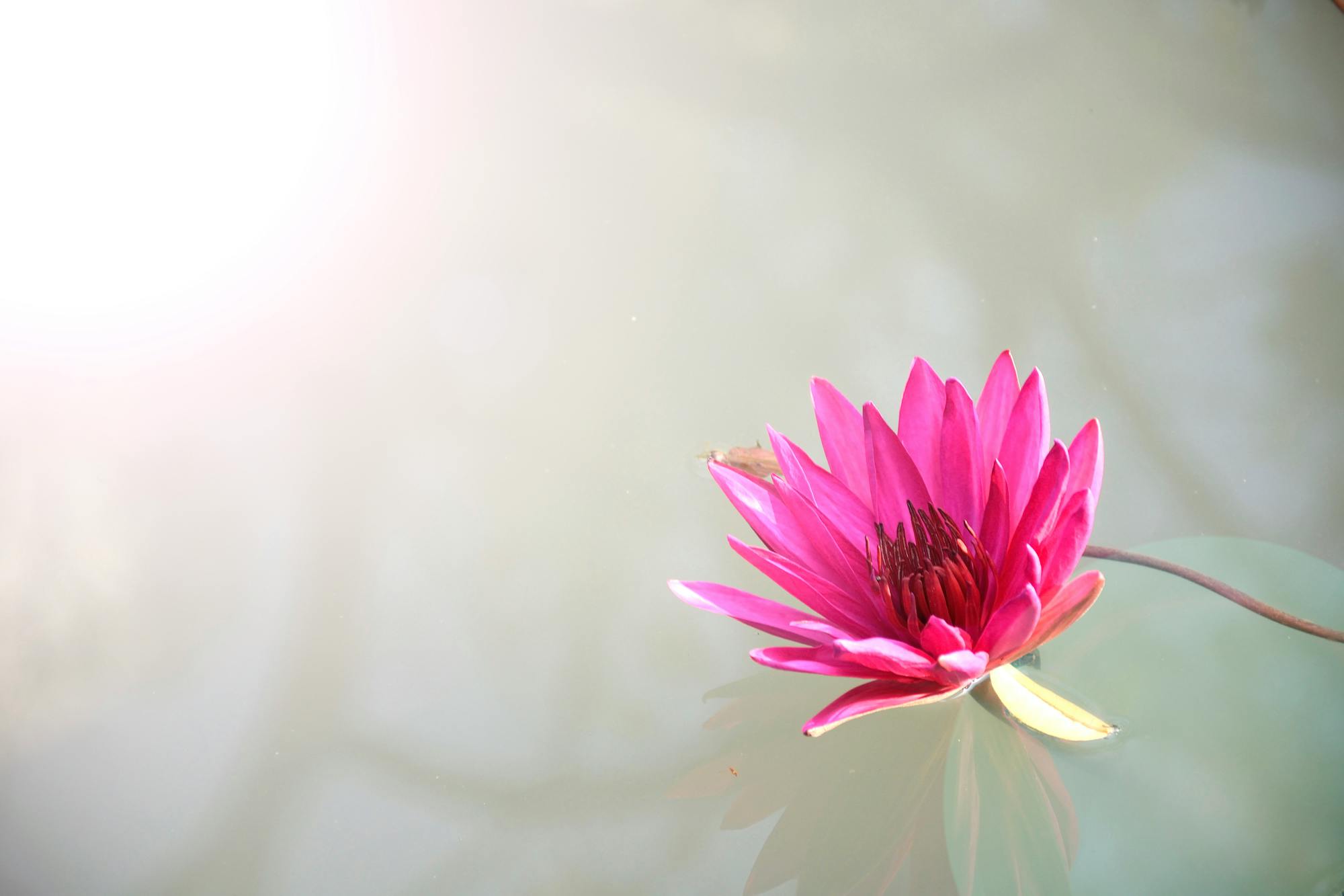 Conecta con tu energía. <br>Transforma tu bienestar.